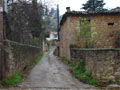 Polidroso - Parnassos Greece Holidays