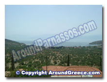Panormos Parnassos Greece Delphi Hotels Holidays Parnassos Panormos Travel
